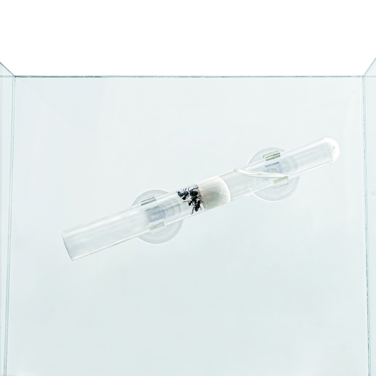 Suction cup holder 16mm 2pc